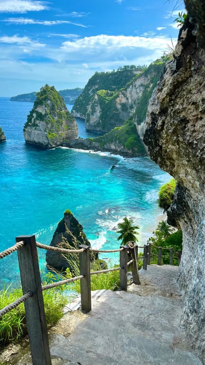 Unleash Your Inner Adventurer: Off-Road Jungle Expeditions