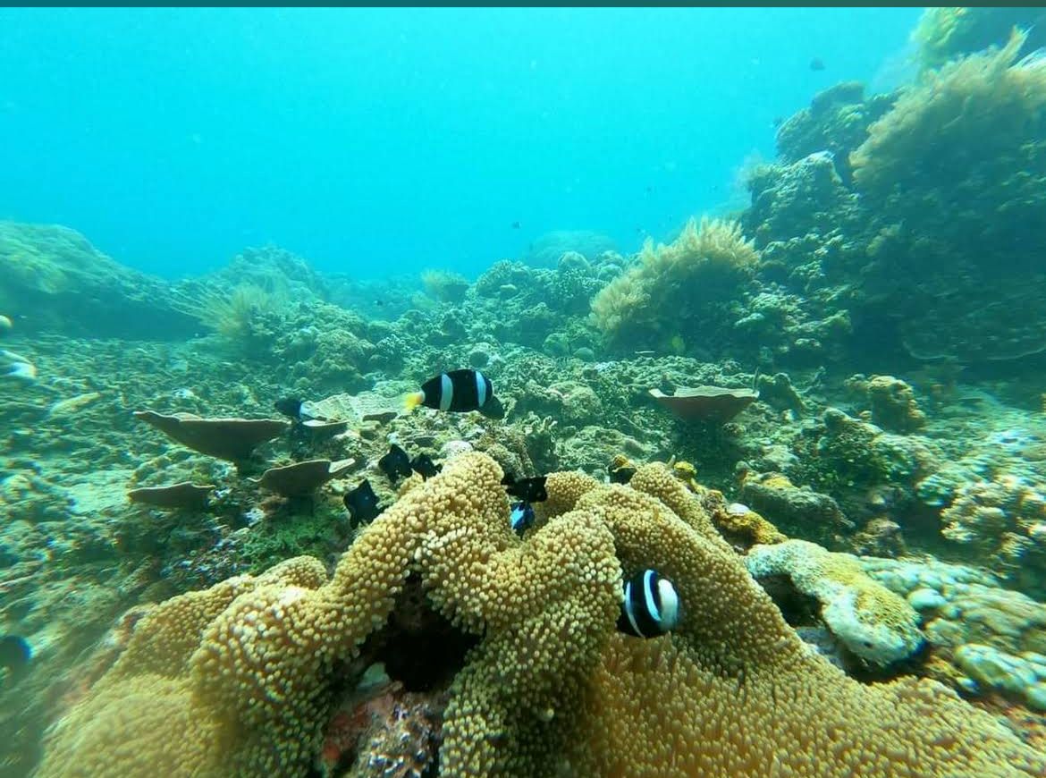Amed: Snorkeling Trip by Traditional Jukung Boat