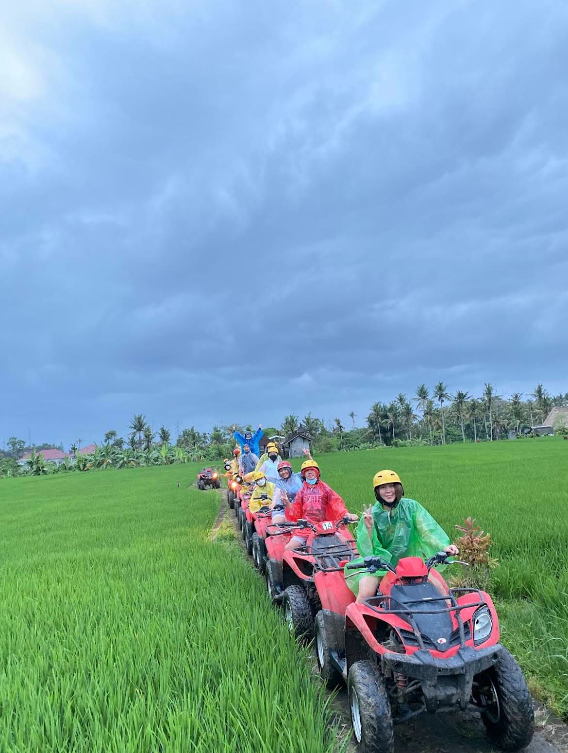 Bali: Quad ATV Adventure 250cc
