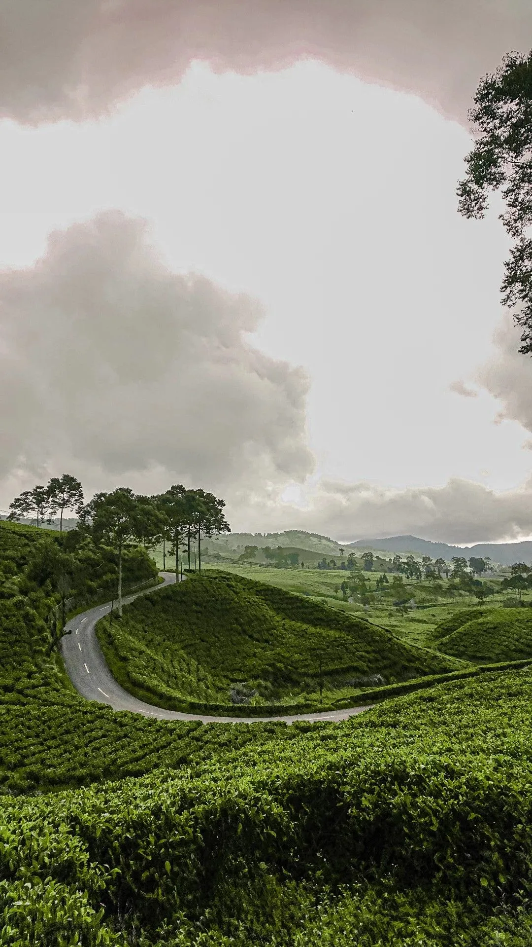 West Java